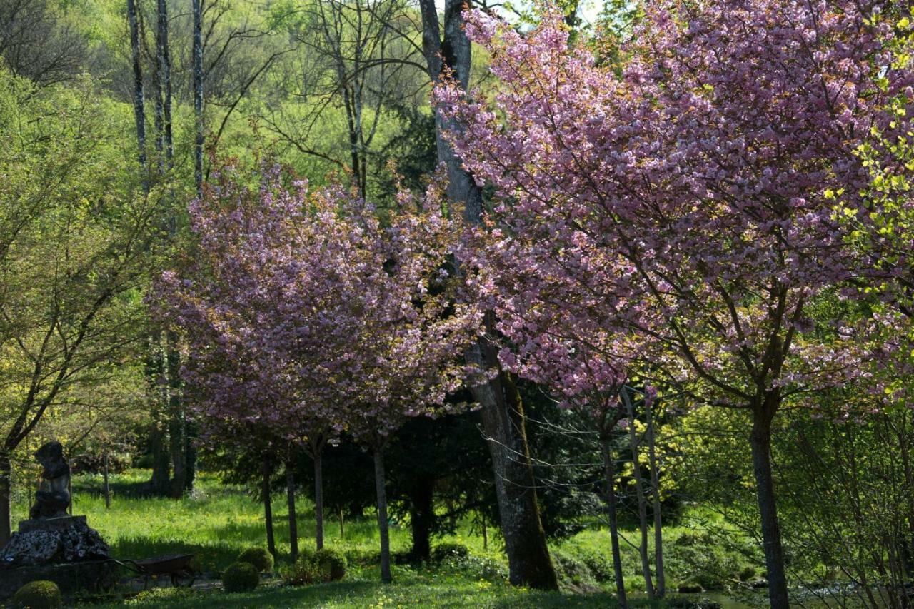 נווי סן ג'ורג' Gite Moulin De La Serree מראה חיצוני תמונה